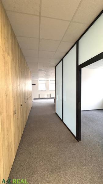 A corridor with offices with glass walls, wooden decor, and carpet.