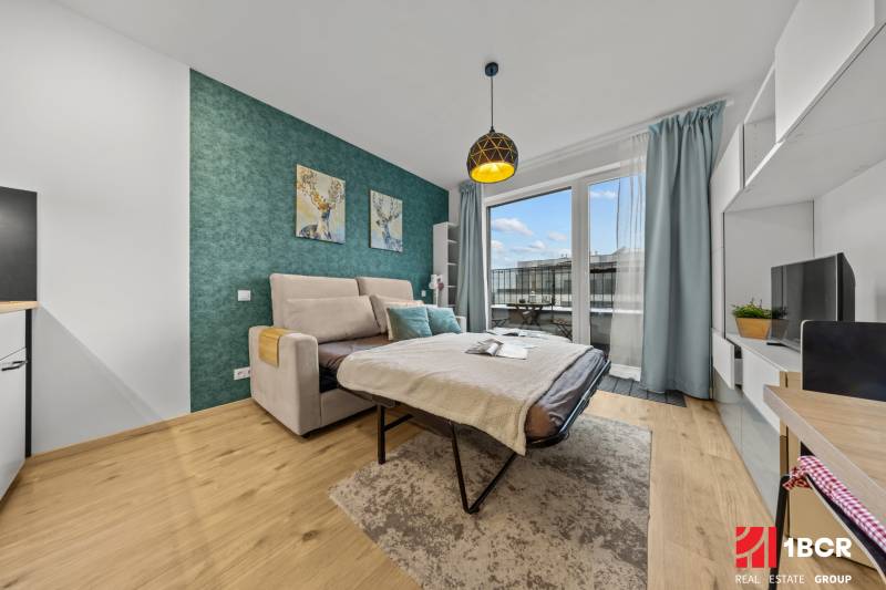 A studio apartment with a sofa bed, a balcony, a green wall, and a floor with a wooden decor.