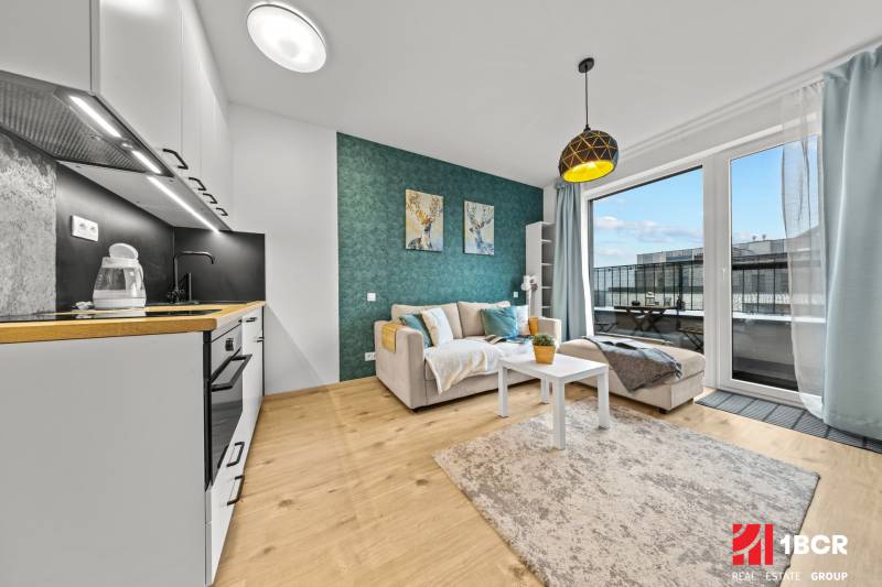 Kitchen and living room with wood-patterned flooring in a studio apartment.