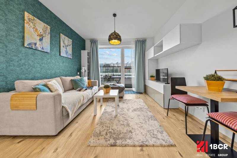 Living room in a one-bedroom apartment with a sofa, TV, carpet, and wood-patterned flooring.