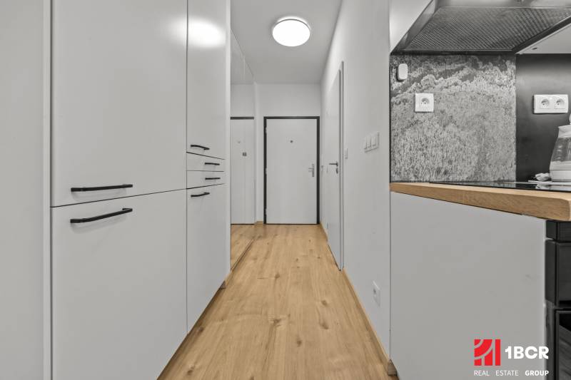 A hallway with white cabinets and a wooden decor floor in a studio apartment.