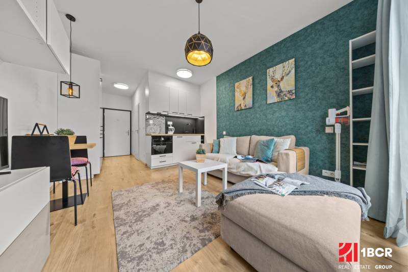 Living room with wood-patterned flooring, sofa, kitchen, and dining area in a studio apartment.