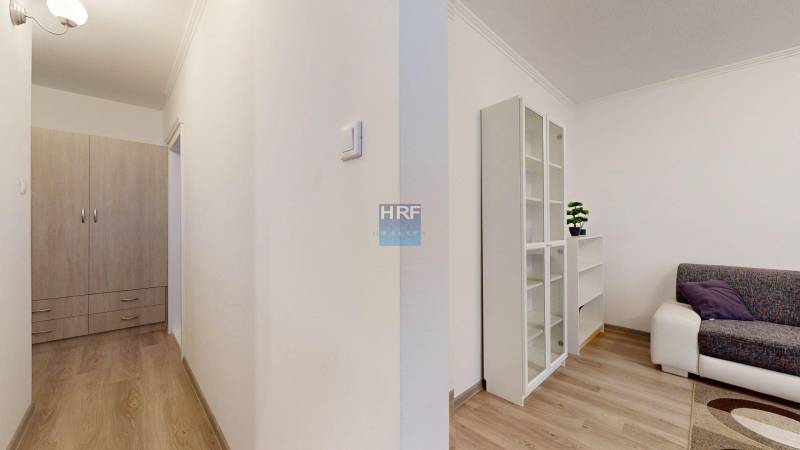 Hallway and living room in a 2-room apartment with a wood-patterned floor and a wardrobe.