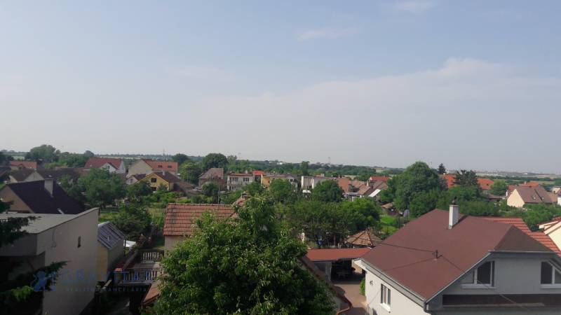 View of family houses in Chorvátsky Grob from Školská Street, with greenery in the background.