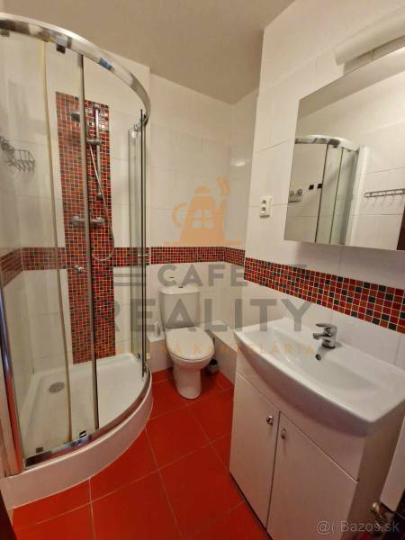 A bathroom in a 2-room apartment with red tiles, a shower corner, and a sink with a mirror.