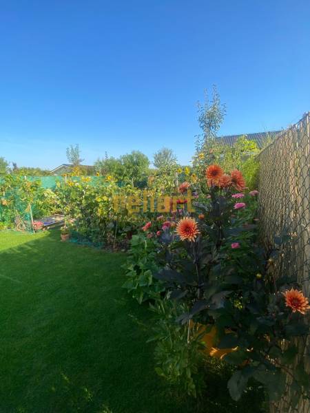 Flower garden at the family house on Radová Street in Nová Dedinka, bordered by a fence.