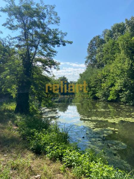 A peaceful water stream surrounded by lush vegetation and reflections of the sky in Nová Dedinka.