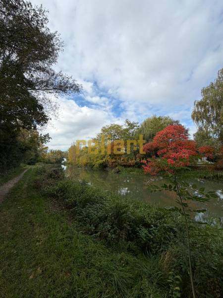 A river with a bank, trees, and a path under a clear sky in Nová Dedinka.