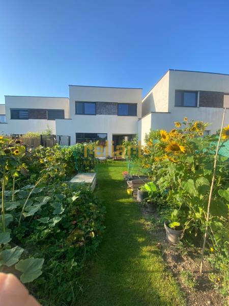 A garden with plants and sunflowers in front of a family house on Radova Street in Nova Dedinka.