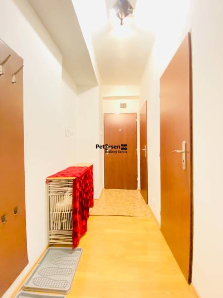 A hallway in a 2-room apartment with a wooden decor floor, doors, and small furniture.