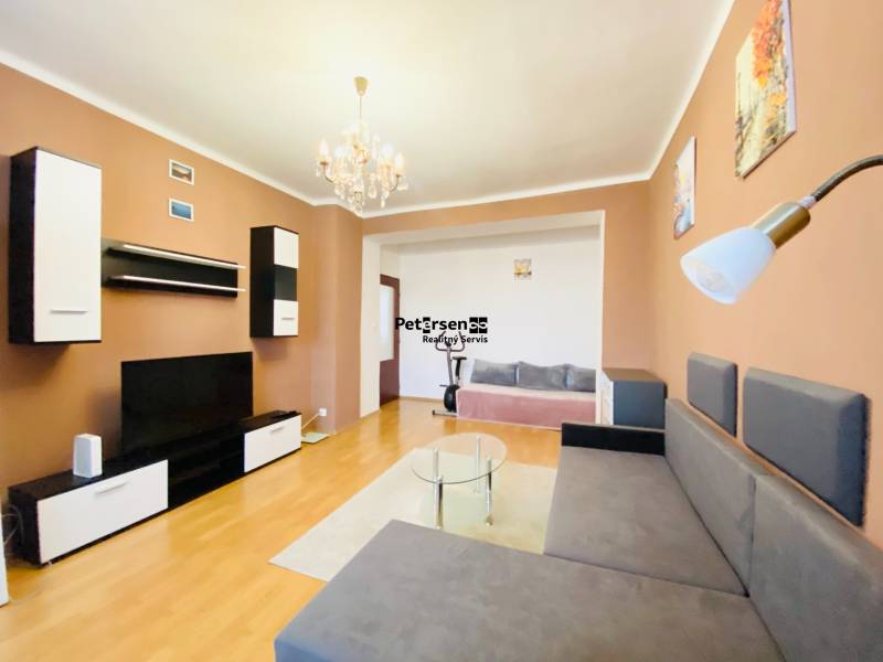 Living room in a two-room apartment with a wooden decor floor and a comfortable sofa.