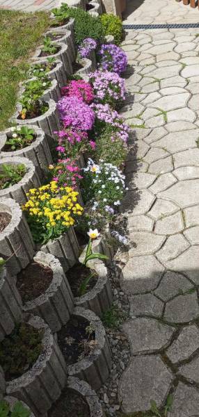 Colorful flowers in concrete planters by the walkway in a family house in Vršatské Podhradie.