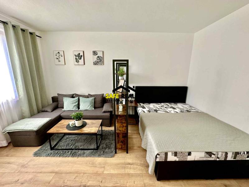 Living room in a studio apartment with a sofa, bed, and decorations, wooden decor flooring.