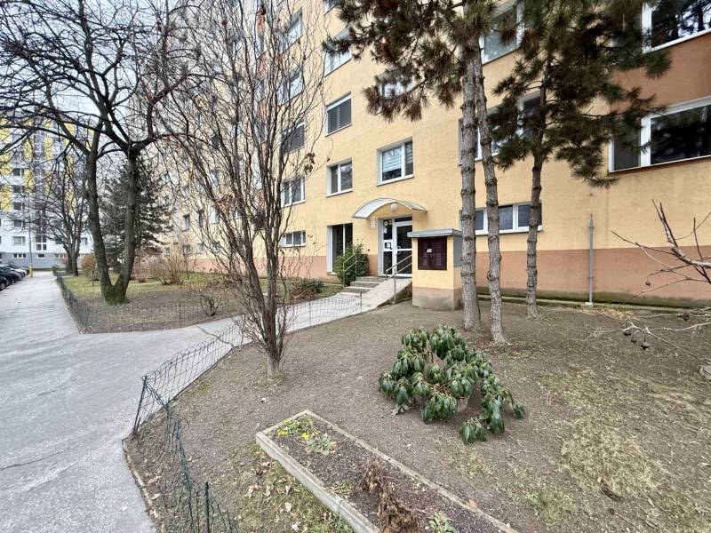 Apartment building in Bratislava - Lúky, surroundings with trees and a bush in front of the entrance.
