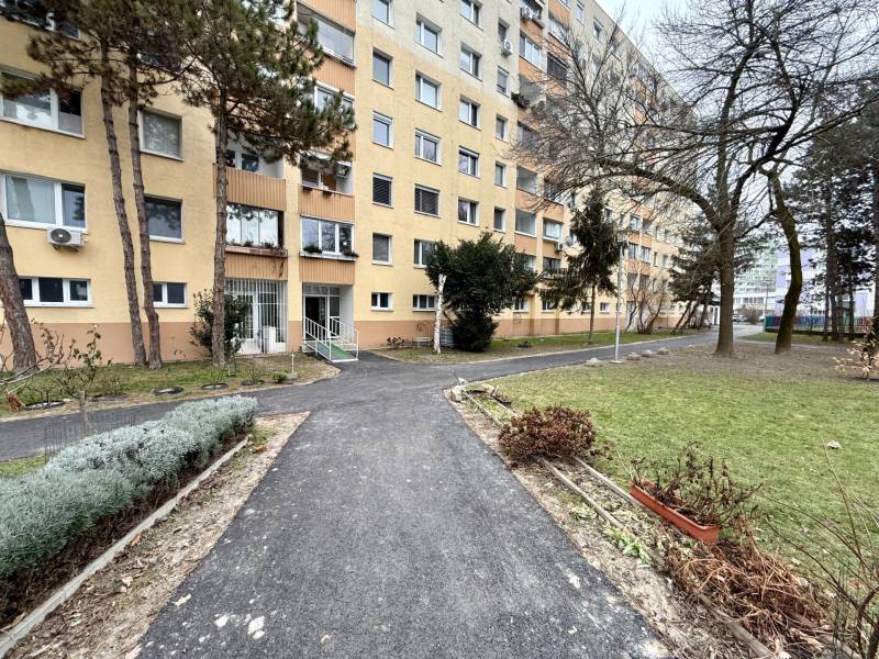 Apartment building in Bratislava-Lúky with a landscaped front garden and an asphalt walkway.