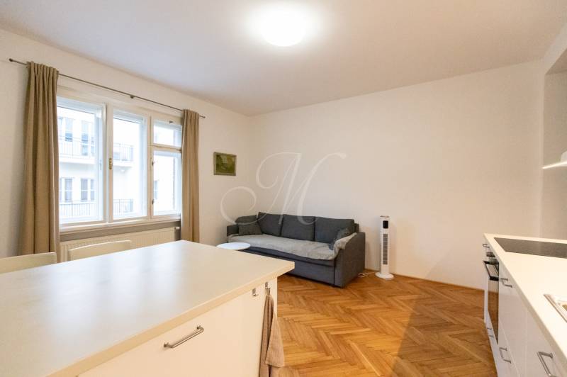Living room in a 2-room apartment with a sofa and wooden decor flooring.