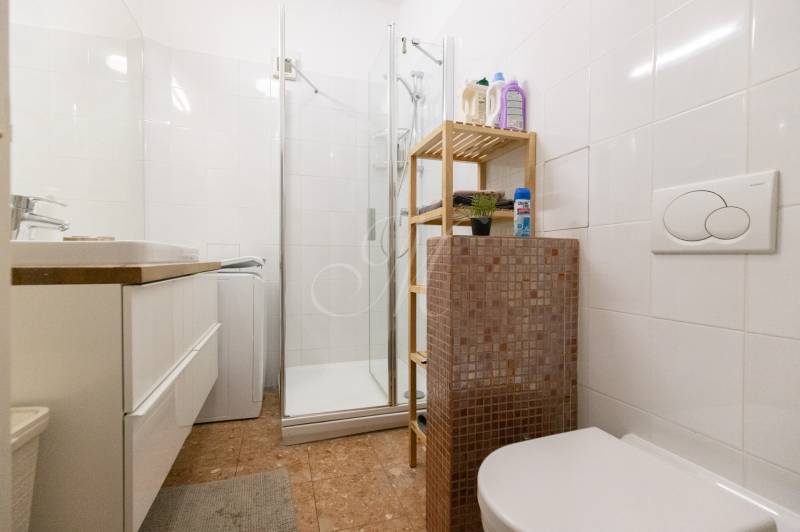 Bathroom in a two-room apartment with ceramic tiles and a shower corner.