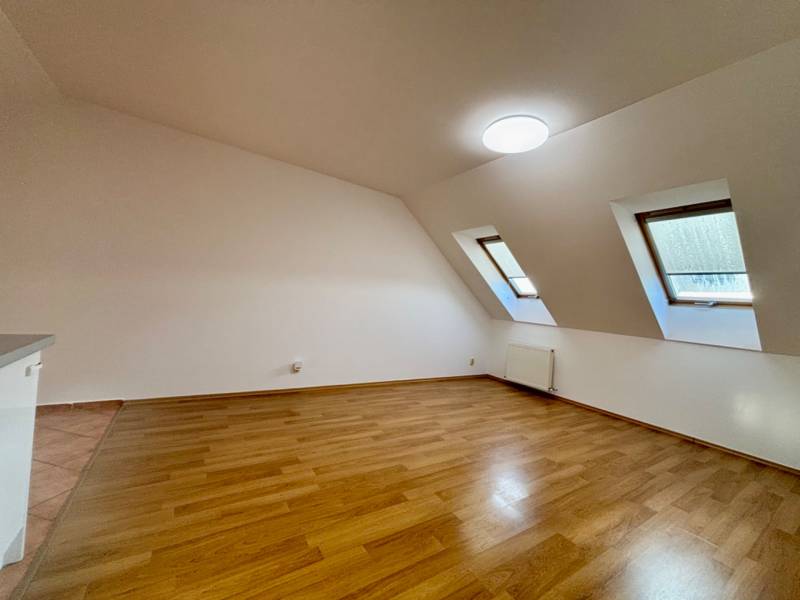 Attic room with wood-decor flooring and skylights in a 2-room apartment.
