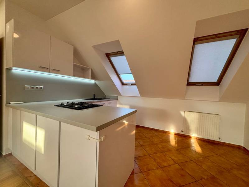 A kitchen in a 2-room apartment with a cooktop and skylights.