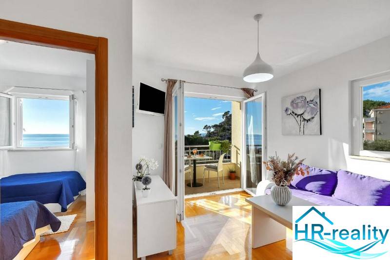 Bright 3-room apartment with a sea view and wooden decor flooring.