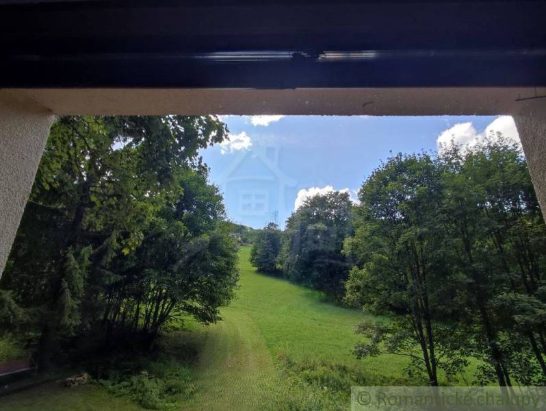 View from the family house to the green meadow and trees in Mojtín.