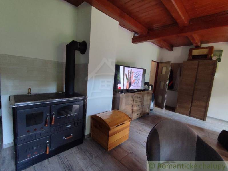 Living room in a family house with a stove, television, and wooden ceiling.