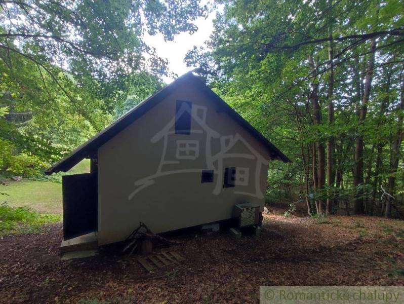 A family house in the forest in Mojtín, surrounded by dense greenery and nature.