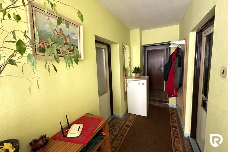 A hallway in a family house with yellow walls, a plant, a mirror, and carpeted flooring.