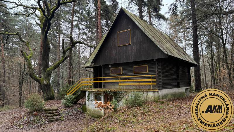 A cottage in Kováčová, surrounded by forest, with a large tree in the foreground.