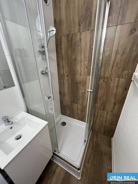 A bathroom in a studio apartment with wood decor, a shower corner, and sanitary equipment.