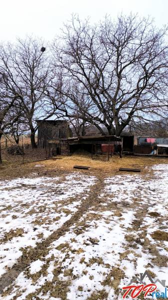 Snow-covered residential plots with trees on Mierová Street in Krásnohorské Podhradie.