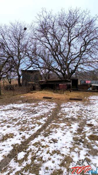 A snow-covered residential plot in Krásnohorské Podhradie, Mierová, with large trees.