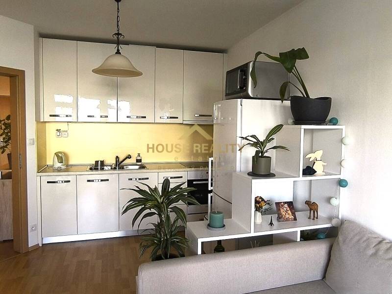 A kitchen in a 2-room apartment with white cabinets, plants, and a wood-patterned floor.