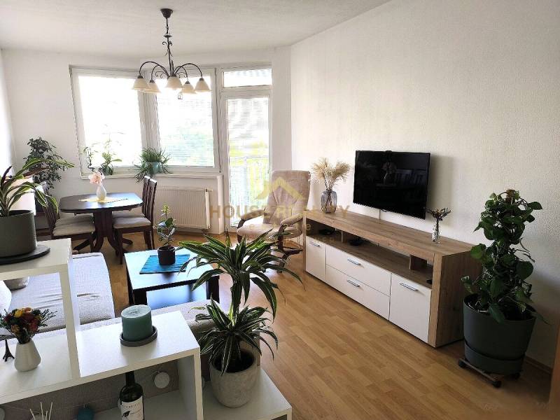 Living room with wood-patterned flooring, a television, and plants in a two-room apartment.
