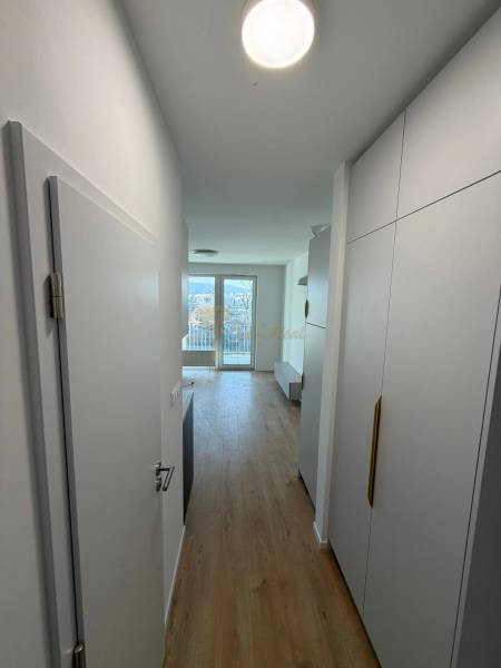 A narrow hallway in a studio apartment with a wood-patterned floor and a view of the window.