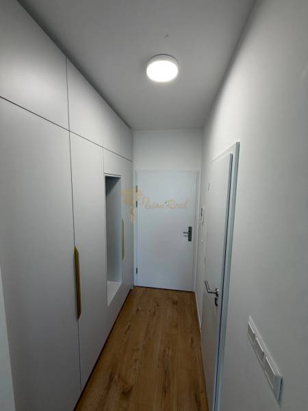 A narrow hallway in a studio apartment with white cabinets and a wooden decor floor.