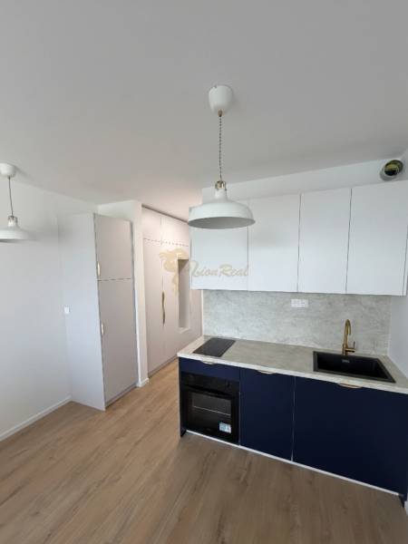 A studio apartment kitchen with light cabinets, a gray countertop, and a wood-patterned floor.