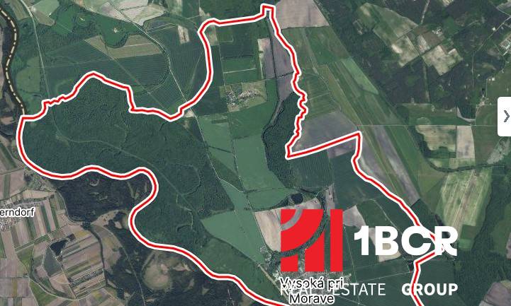 Aerial map of agricultural and forest lands in Vysoká pri Morave.