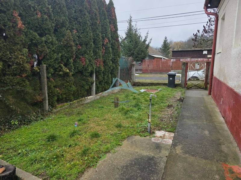 Family house in Hont. Front garden with a walkway, greenery, and a bin by the fence.