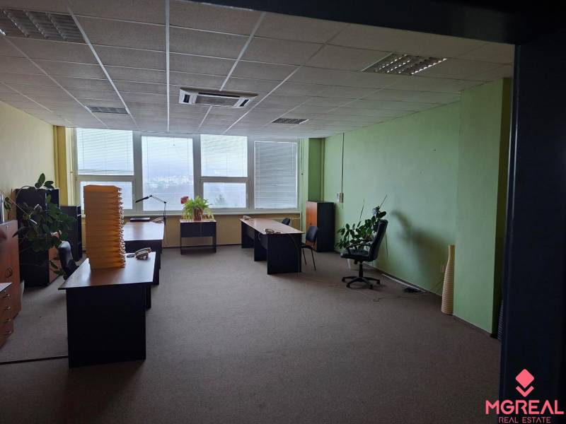 Offices with desks, chairs, and plants on a floor with wooden decor.