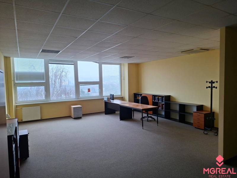 Spacious offices with furniture, large windows, and carpet.