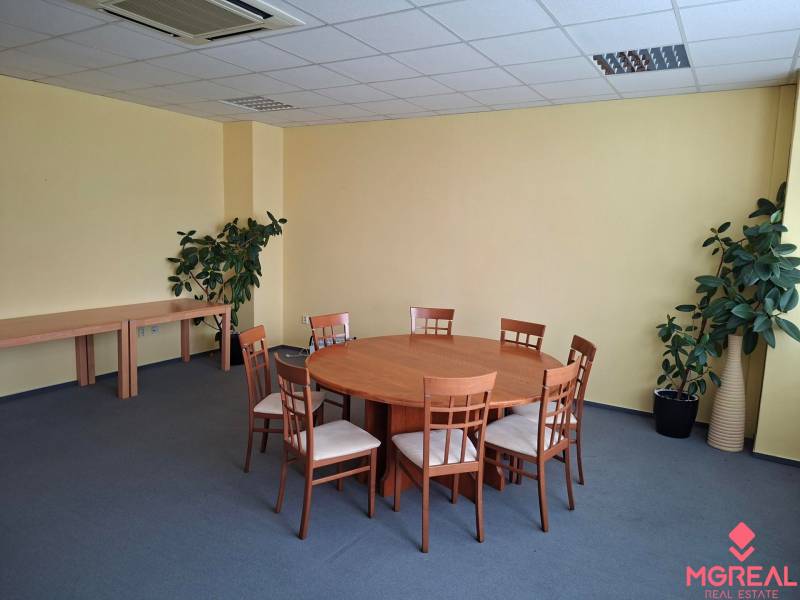 Office with a round table, six chairs, a blue carpet, and plants.