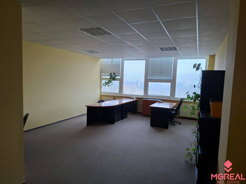 Offices with large windows and plants, carpet, light walls, simple furniture.