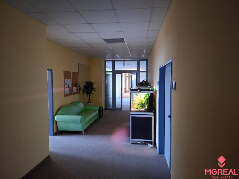 Offices with an aquarium, a green sofa, and a plant.