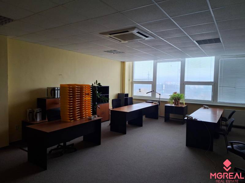 An office interior with three desks, plants, and a view through large windows.