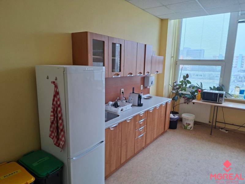 Offices with a bright kitchen; furniture with a wooden decor, windows, plants, refrigerator, appliances.