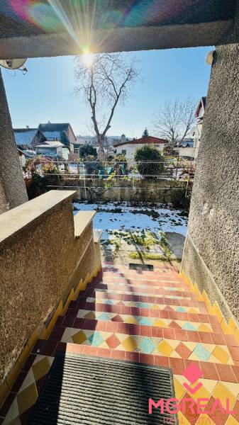 Colorful stairs leading from a family house in Veľké Bielice, Partizánske, into a snowy garden.
