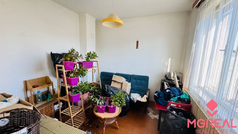A room in a family house with plants, a sofa, and a table in front of a large window.
