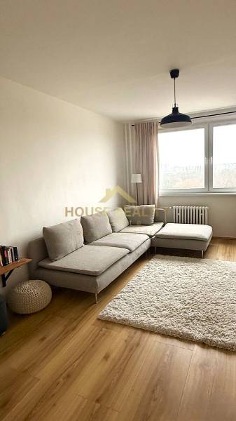 Living room in a 3-room apartment with a sofa, carpet, and wooden decor flooring.