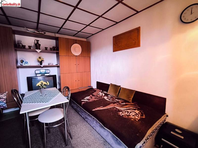 The interior of the cabin with a sofa, dining table, and built-in wardrobe is dominated by a natural color palette.